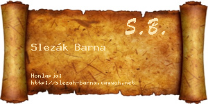 Slezák Barna névjegykártya